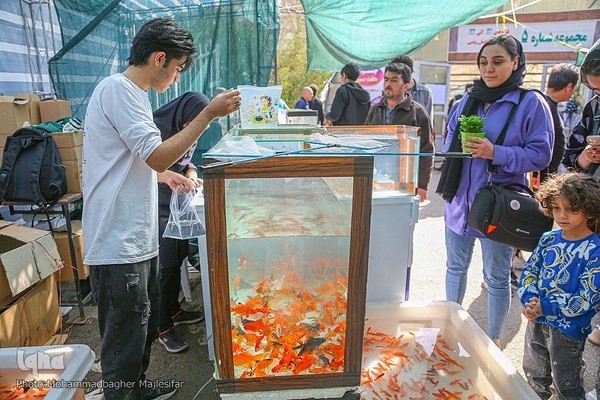 رونق بازار گل و گیاه در آستانه بهار