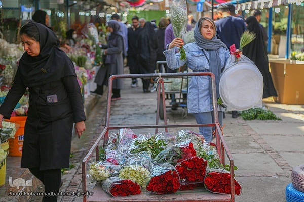 رونق بازار گل و گیاه در آستانه بهار