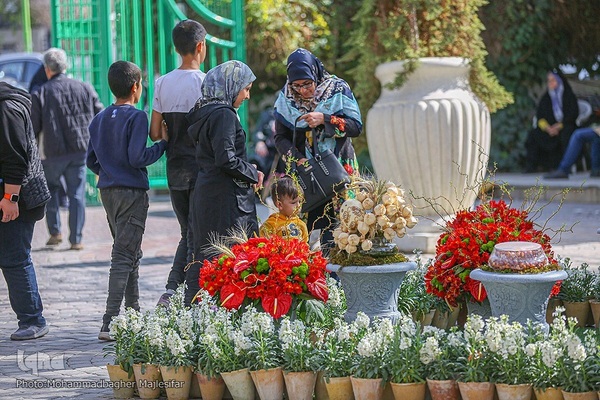 رونق بازار گل و گیاه در آستانه بهار
