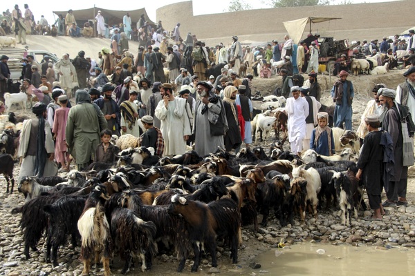 عید قربان در کشورهای اسلامی 