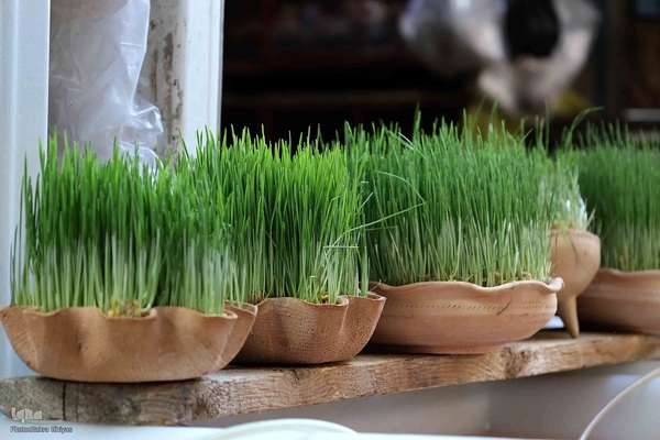 بازار تبریز در تکاپوی سال نو