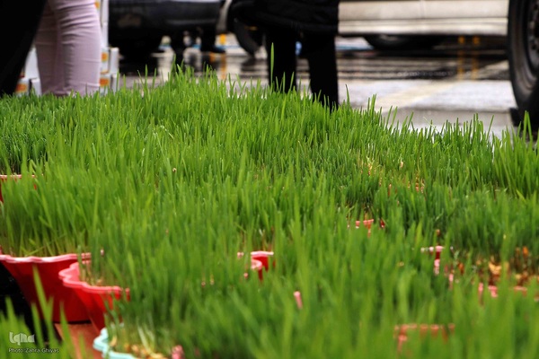 بازار تبریز در تکاپوی سال نو