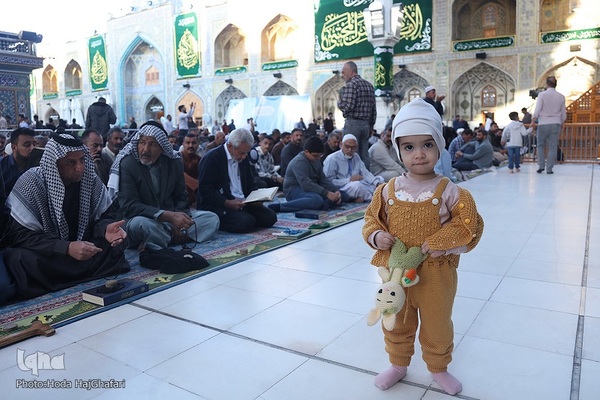 حرم امام علی(ع) در آستانه ولادت کریم اهل بیت