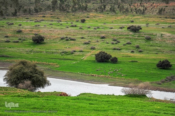 پیوند انسان و طبیعت در اندیکا