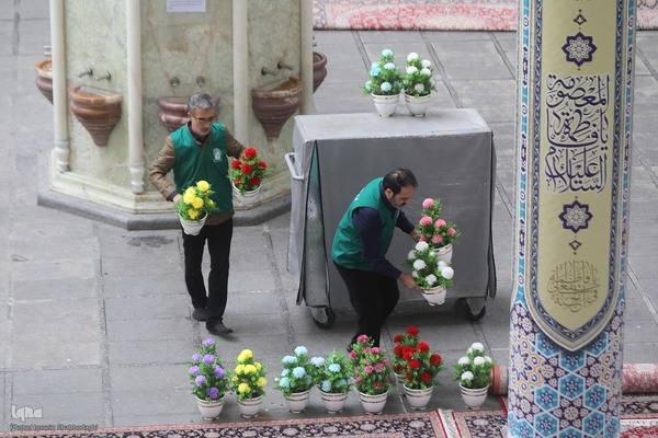 سفره افطاری حرم حضرت معصومه در شب میلاد امام حسن مجتبی(ع)