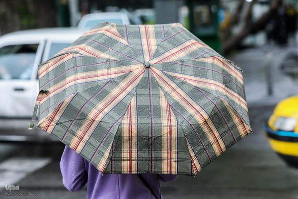 بارش باران بهاری