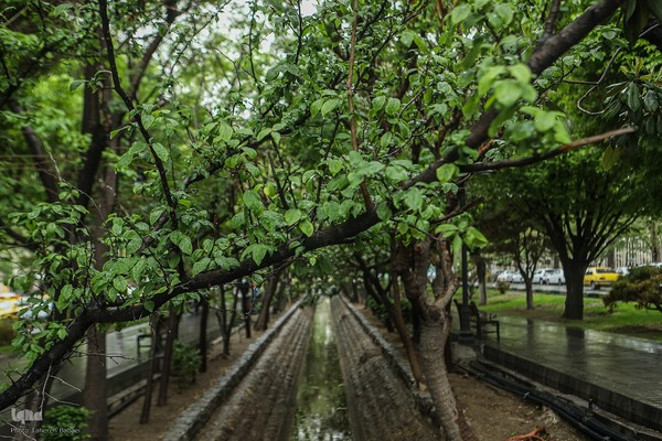 بارش باران بهاری