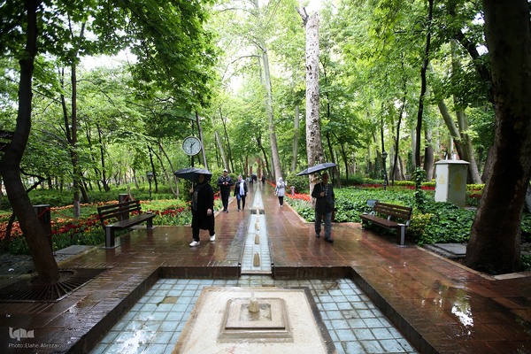 لاله زار بهاری در هیاهوی تهران