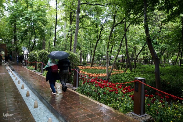 لاله زار بهاری در هیاهوی تهران