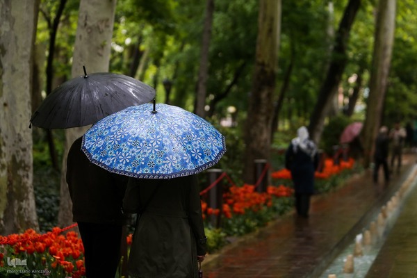 لاله زار بهاری در هیاهوی تهران