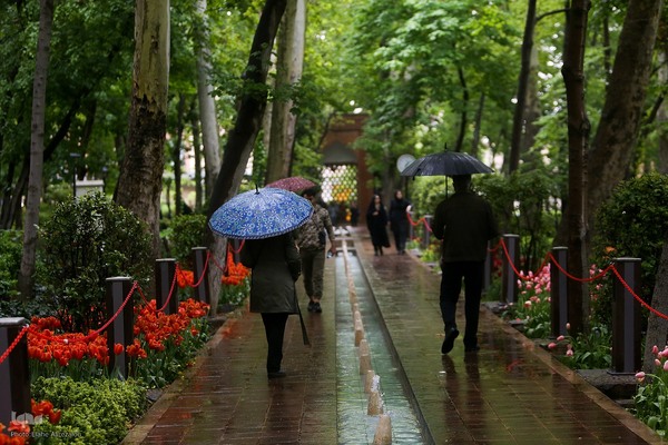 لاله زار بهاری در هیاهوی تهران