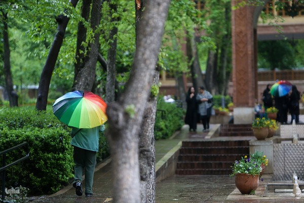 لاله زار بهاری در هیاهوی تهران