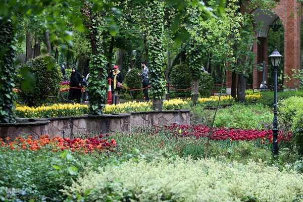 لاله زار بهاری در هیاهوی تهران