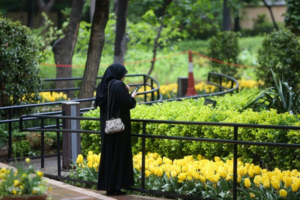 لاله زار بهاری در هیاهوی تهران