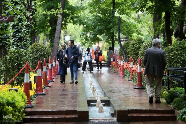 لاله زار بهاری در هیاهوی تهران