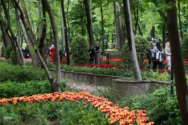 لاله زار بهاری در هیاهوی تهران