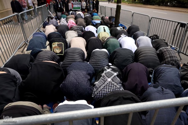 جنبش دانشجویی دفاع از غزه