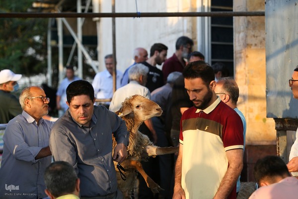 خرید و ذبح دام عید قربان در تهران