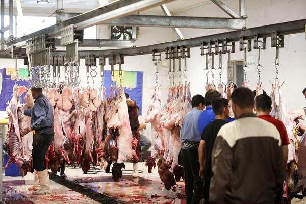 خرید و ذبح دام عید قربان در تهران