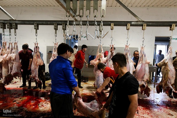 خرید و ذبح دام عید قربان در تهران