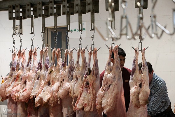 خرید و ذبح دام عید قربان در تهران
