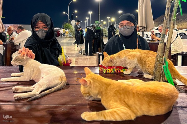 حال و هوای شهر پیامبر سال ۱۴۴۵ هجری قمری