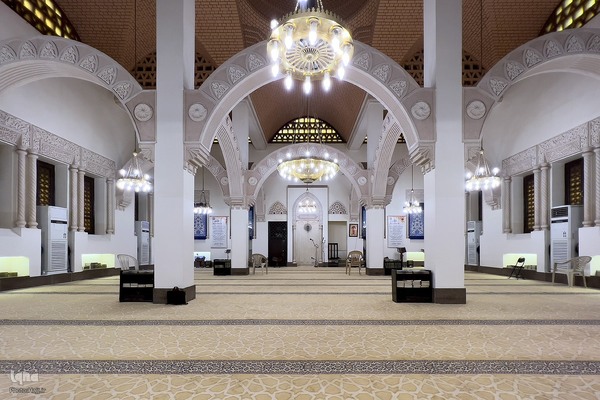 زیارت دوره زائران در مدینه منوره