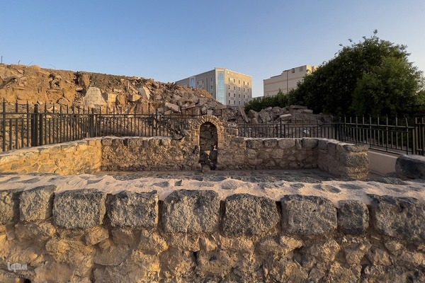 زیارت دوره زائران در مدینه منوره