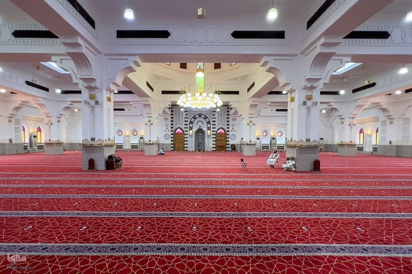 زیارت دوره زائران در مدینه منوره