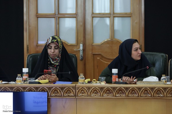 نشست خبری معاون رئیس جمهور در امور زنان و خانواده