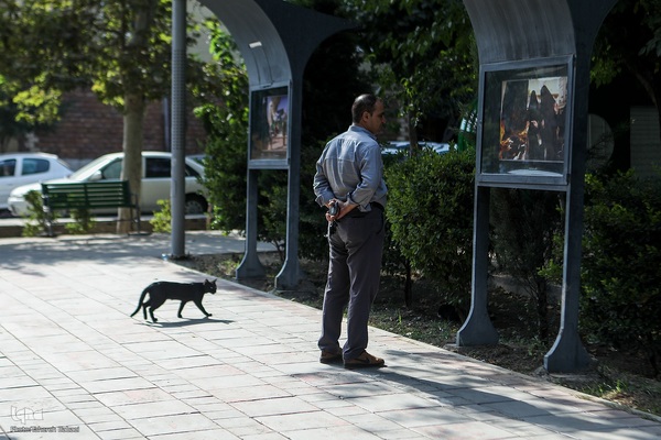 نمایشگاه عکس‌ «نوبهار ماتم شد»