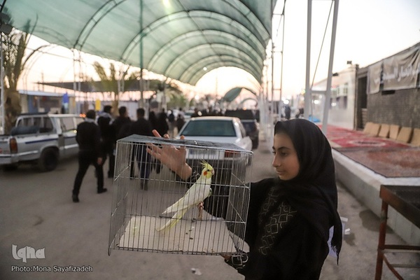 تردد زائران اربعین در مرز چذابه