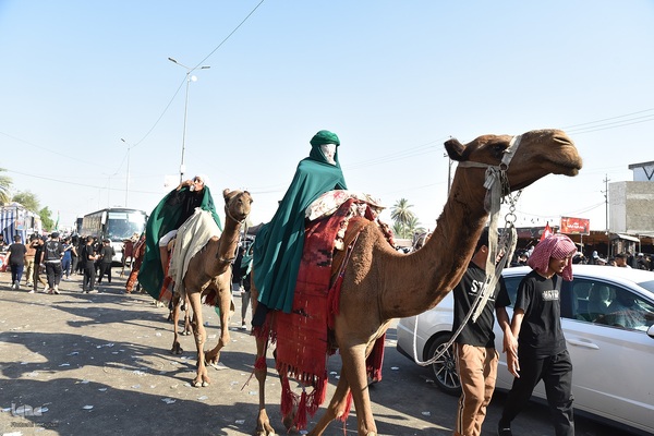 حال و هوای کربلا در آستانه اربعین حسینی