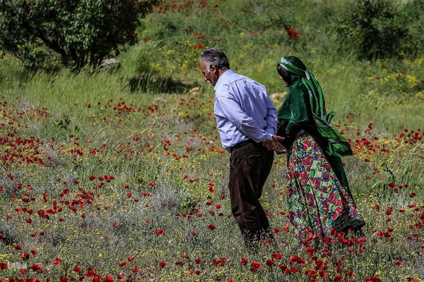 پانزدهم مهر؛ روز ملی روستا و عشایر
