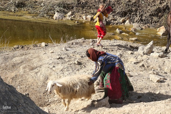 پانزدهم مهر؛ روز ملی روستا و عشایر