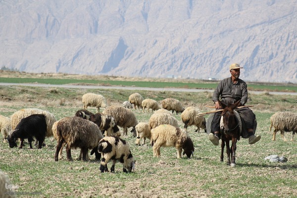 پانزدهم مهر؛ روز ملی روستا و عشایر