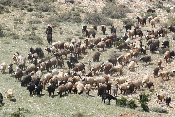 پانزدهم مهر؛ روز ملی روستا و عشایر