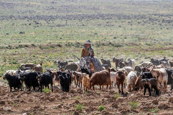 پانزدهم مهر؛ روز ملی روستا و عشایر