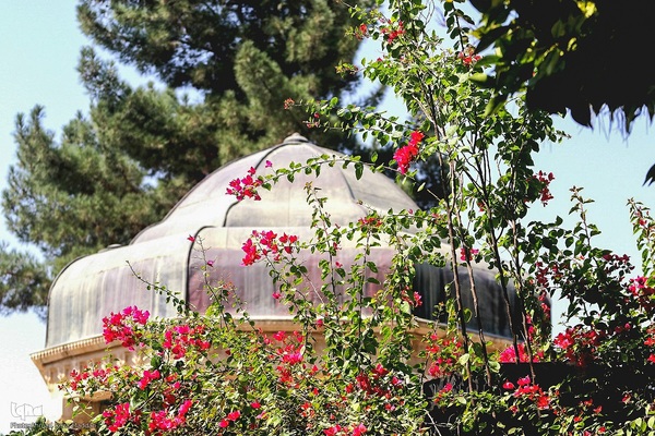 گلباران آرامگاه حافظ