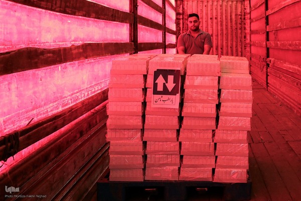 ارسال محموله دارویی آستان قدس رضوی به لبنان