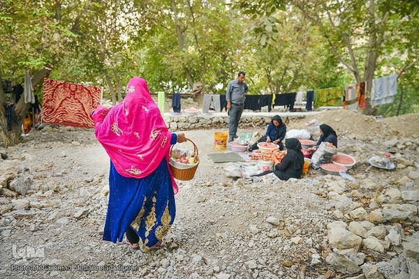 انارچینی در روستای گردشگری شیوند