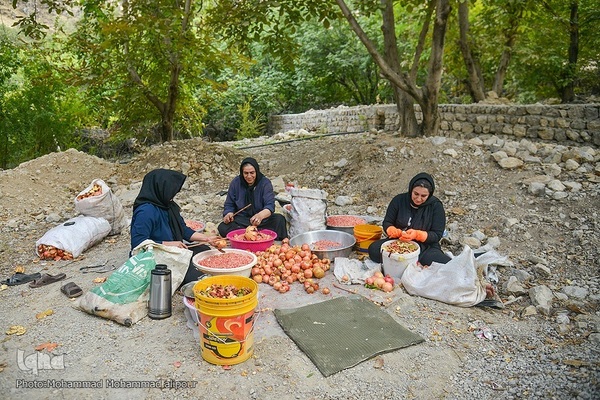 انارچینی در روستای گردشگری شیوند