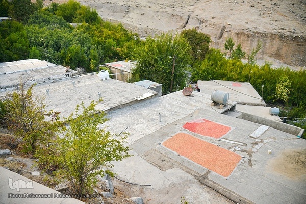 انارچینی در روستای گردشگری شیوند