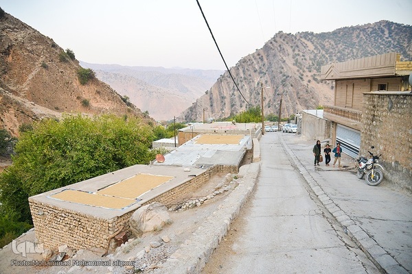 انارچینی در روستای گردشگری شیوند