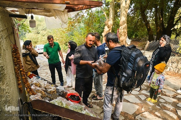 انارچینی در روستای گردشگری شیوند