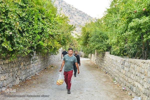 انارچینی در روستای گردشگری شیوند