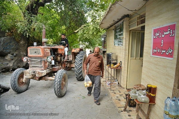 انارچینی در روستای گردشگری شیوند