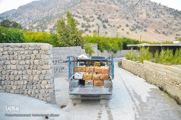انارچینی در روستای گردشگری شیوند