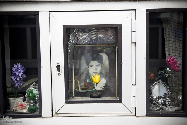 شهدا در قاب تصویر