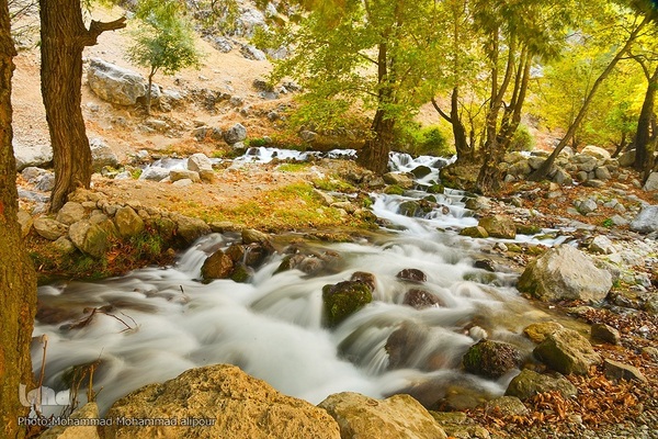 طبیعت پاییزی روستای گردشگری شیوند